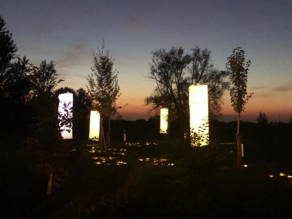 IL GIARDINO DEI GIUSTI:   patrimonio di tutta la nostra UP e di tutta l’umanita’